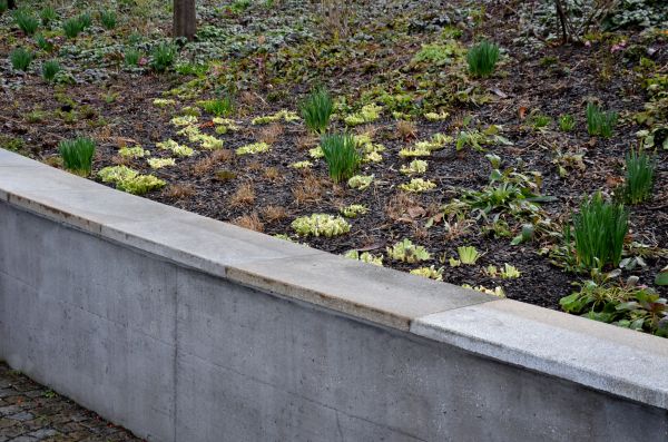 Concrete Wall Construction in New Braunfels