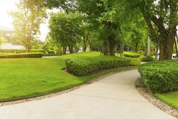 Walkway Concrete Installation in New Braunfels