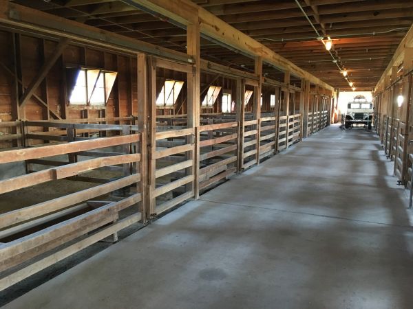 Barn Floor Pouring in New Braunfels