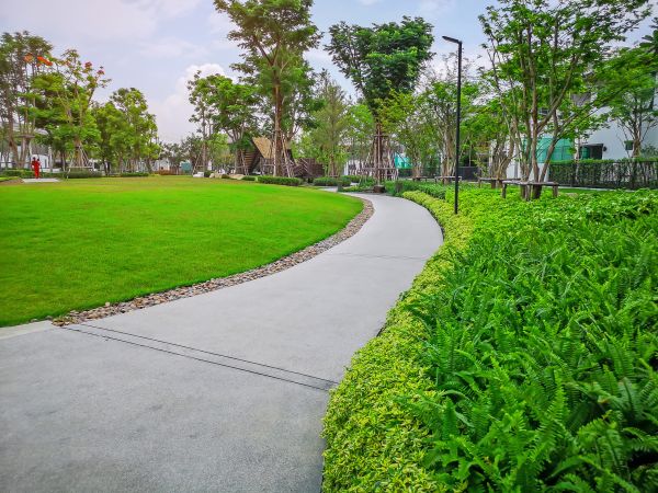 Cement Walkway Service in New Braunfels