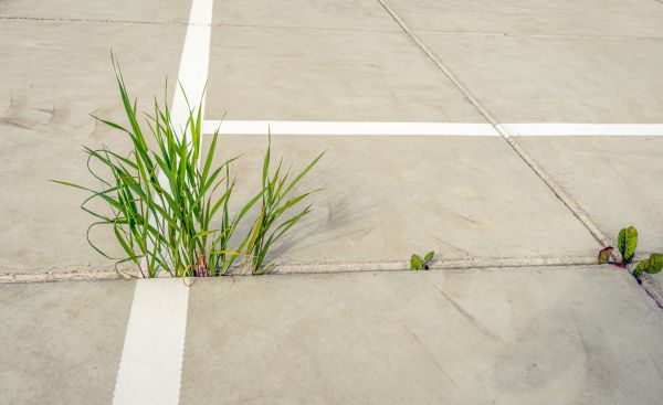 Concrete Parking Installation in New Braunfels