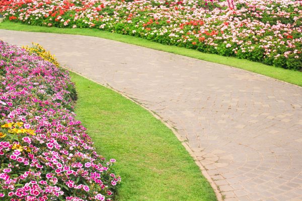 Concrete Walkway Service in New Braunfels